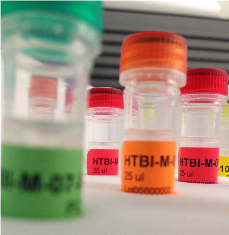 HTBI-M-0 25 microliter sample tubes