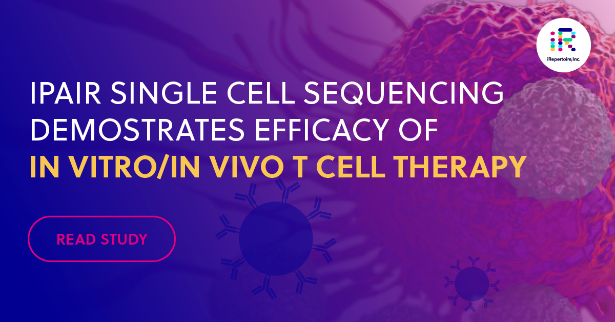 iPair single cell sequencing demonstrates efficacy of in vitro/in vivo t-cell therapy