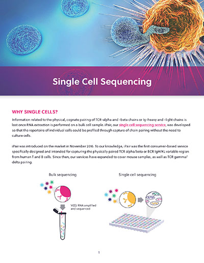 img-thumbnail-single-cell-sequencing-brochure