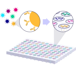 Single-Cell V(D)J Sequencing