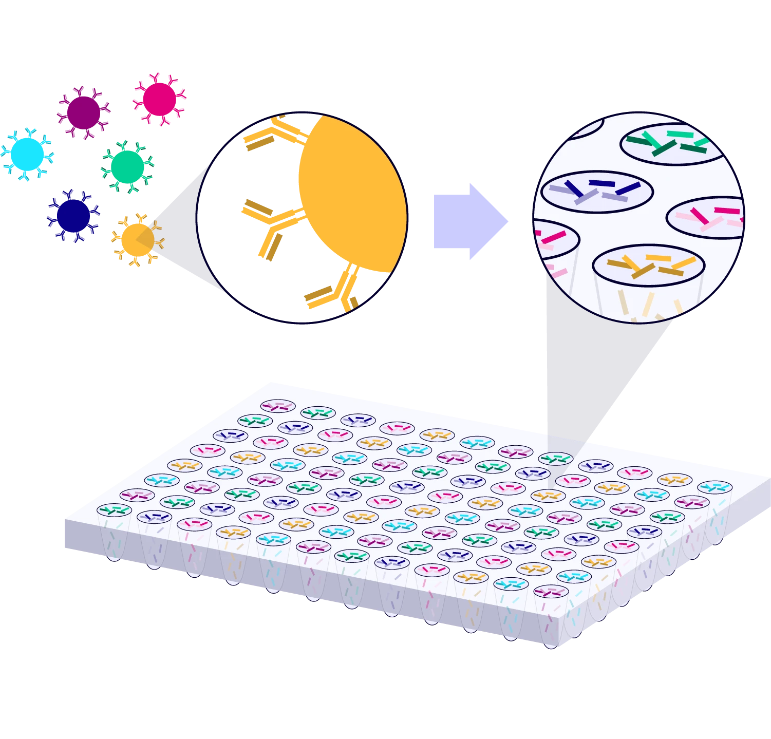 Single-Cell V(D)J Sequencing