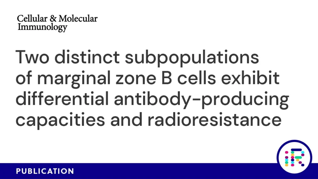 Two distinct subpopulations of marginal zone B cells exhibit differential antibody-producing capacities and radioresistance